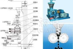 黑龙江鸡精制粒机厂家，鸡精造粒机工作原理图？